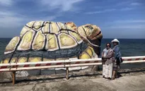 Tour nội địa hè giá cao khiến du khách "chùn chân"