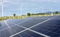 24 doanh nghiệp đồng ý bán điện bằng 50% mức giá trần
