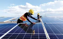 Bộ Công Thương hỏa tốc yêu cầu EVN đàm phán với các chủ đầu tư điện gió, mặt trời