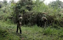 Congo: Các tay súng bắn chết hai nhân viên kiểm lâm ở Công viên quốc gia Virunga