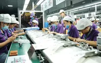 Số cơ sở sản xuất cho Apple tại Việt Nam nhiều thứ 7 thế giới
