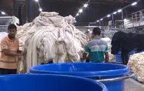 Nhà máy dệt may làm cạn kiệt nước ngầm ở Bangladesh