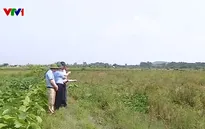 Khẩn trương xây dựng khu tái định cư để giải phóng mặt bằng Vành đai 4