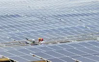 63/85 dự án năng lượng tái tạo gửi hồ sơ đàm phán giá điện
