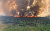 Cháy rừng nghiêm trọng tại Canada