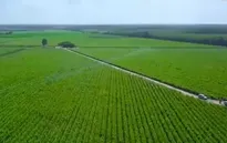 Sản xuất xanh – Giải pháp phát triển bền vững