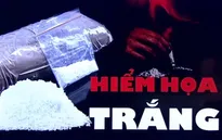 Nguồn cung cocaine bùng nổ trên toàn thế giới, Mỹ lo ngại nguy cơ từ ma túy mới Xylazine