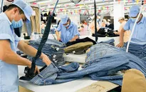 Cần cơ chế thúc đẩy sản xuất xanh