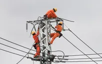 Giá điện đẩy CPI tăng 0,1%