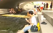 Hàn Quốc ban bố cảnh báo nắng nóng đối với 7 khu vực