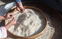 Giá gạo châu Á cao nhất 2 năm