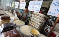 Giá gạo có thể tăng thêm 20%