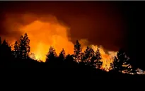Cháy rừng ở đảo La Palma của Tây Ban Nha khiến hàng nghìn người phải sơ tán