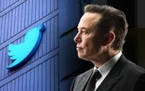 Doanh thu quảng cáo của Twitter giảm đến 50%