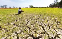 El Nino có thể khiến kinh tế toàn cầu "bay hơi" hàng nghìn tỷ USD