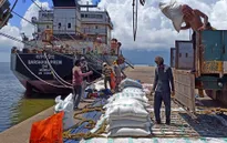 Lệnh cấm xuất khẩu của Ấn Độ sẽ gây gián đoạn cho thị trường gạo toàn cầu