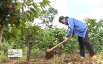 Ước mơ màu xanh của cô gái nhỏ trên vùng đất Tây Nguyên