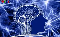 Biến đổi khí hậu có thể khiến não người bị thu nhỏ