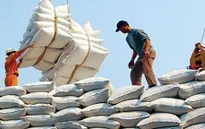 Bức tranh xuất khẩu nông lâm thủy sản nửa đầu năm