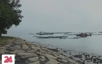 Singapore gấp rút kéo dài "tuổi thọ" của hòn đảo rác