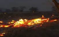 Cháy rừng ở Hawaii: Lực lượng chức năng nỗ lực khống chế đám cháy, tìm kiếm người mất tích