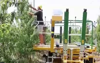 Nông nghiệp châu Âu thiệt hại vì thời tiết bất thường