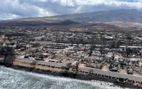 Việc tìm kiếm nạn nhân cháy rừng ở Hawaii hoàn thành 25%, số người tử vong tăng lên 99