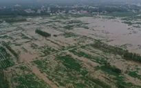 Giá gạo toàn cầu có thể tăng cao vì lũ lụt ở Trung Quốc