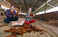 Người tiêu dùng ưu tiên chọn sản phẩm xanh