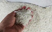Sẽ xử lý tình trạng đầu cơ, găm hàng tăng giá lúa gạo