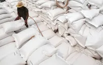 Đề xuất Thủ tướng ban hành chỉ thị tăng cường xuất khẩu gạo