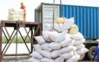 Việt Nam chủ trương tăng cường xuất khẩu gạo