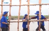 Doanh nghiệp nỗ lực giảm dấu chân carbon trong hoạt động sản xuất
