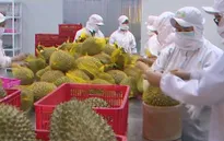 Ngành nông nghiệp thu về hơn 33 tỷ USD