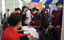 Cần thiết lập sàn giao dịch việc làm trực tuyến quốc gia