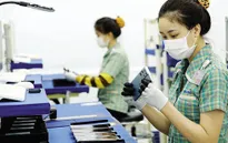 8 tháng, Việt Nam đầu tư ra nước ngoài đạt hơn 416 triệu USD