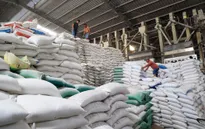 Giá gạo Việt xuất khẩu tăng cao kỷ lục