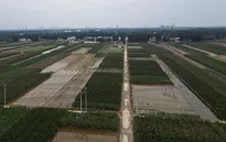 Trung Quốc cảnh báo dịch bệnh đối với cây trồng, vật nuôi ở vùng lũ