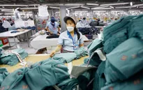 EU áp thuế carbon: Thách thức chồng thách thức