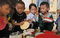 Chuyện của những chiếc cặp lồng tới trường