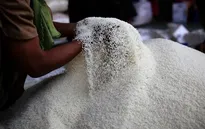 Indonesia thúc đẩy các biện pháp giảm giá gạo