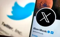 Elon Musk thừa nhận thu thập dữ liệu người dùng X để huấn luyện AI