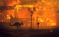 Hàng trăm lính cứu hỏa nỗ lực dập cháy rừng ở miền Tây Australia