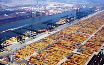 Cảnh giác tránh bị lừa xuất khẩu xăng dầu sang Hà Lan