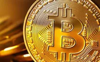 Giá Bitcoin rơi tự do