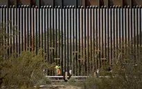 Bức tường biên giới Mỹ - Mexico đe dọa động vật hoang dã