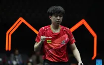 Wang Chuqin vô địch đơn nam giải bóng bàn WTT Finals