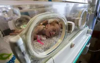 Thiếu thốn mọi bề, trẻ sơ sinh phải dùng chung lồng ấp ở Dải Gaza