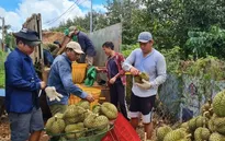 Xuất khẩu nông sản tăng mạnh