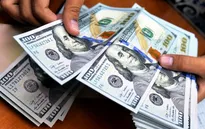 Giá USD tại các ngân hàng thương mại đồng loạt giảm